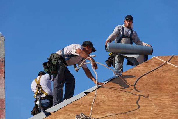 Best Local Roofing Companies  in Cherryland, CA