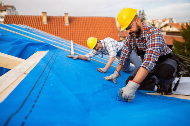 Best Best Roofing Contractors  in Cherryland, CA
