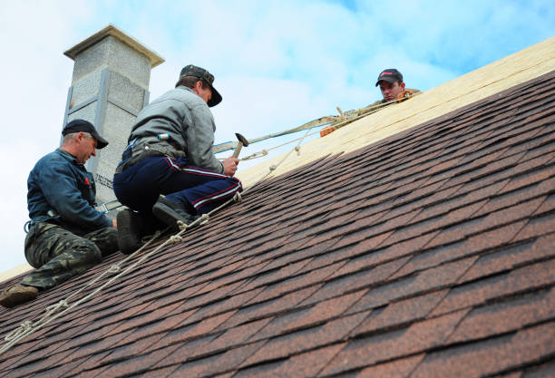 Best Gutter Installation and Roofing  in Cherryland, CA